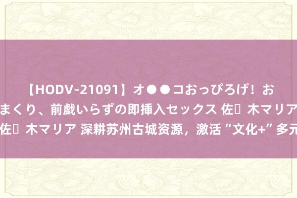 【HODV-21091】オ●●コおっぴろげ！お姉ちゃん 四六時中濡れまくり、前戯いらずの即挿入セックス 佐々木マリア 深耕苏州古城资源，激活“文化+”多元发展新引擎