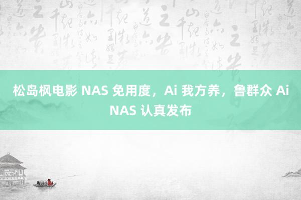 松岛枫电影 NAS 免用度，Ai 我方养，鲁群众 AiNAS 认真发布